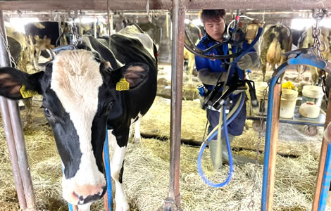 弟子屈町酪農ヘルパー利用組合スタッフ